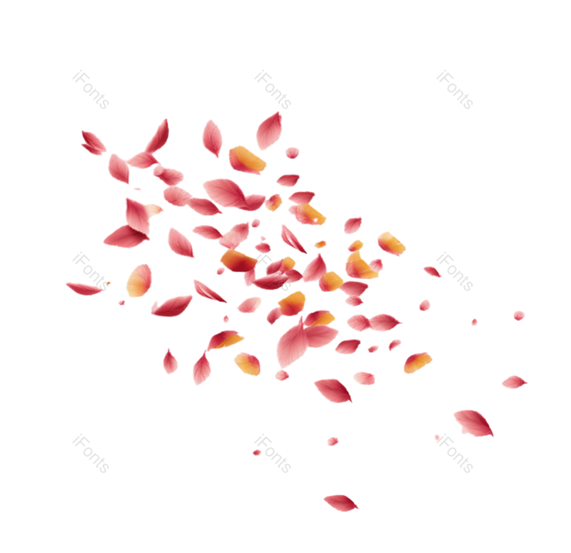 元素图片,卡通元素,白色背景PNG,花瓣免抠素材